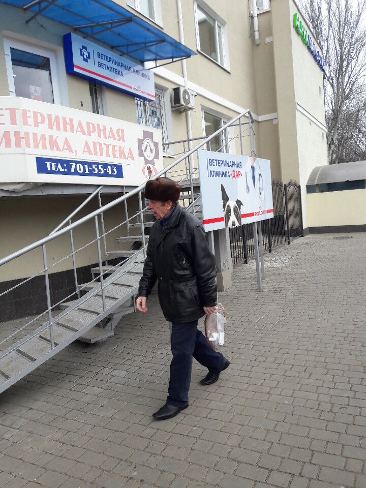 Veterinary clinic OGBU Bratskaya SBBZh, administrativnyj korpus, Bratsk, photo