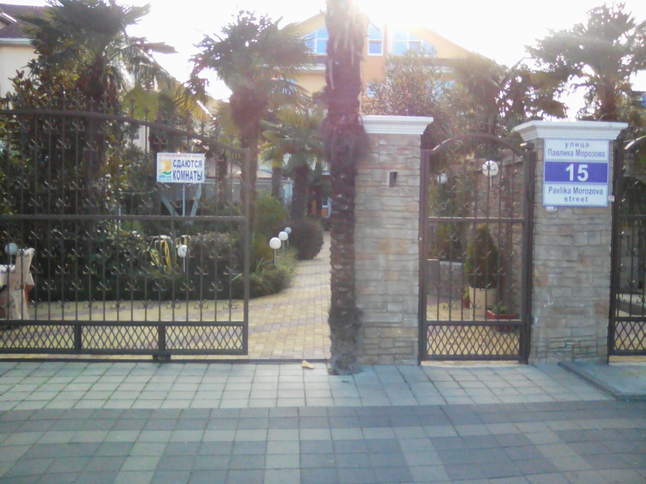 Фото Дельфин