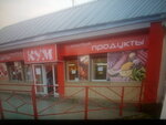 Rodnik (Moskovskiy Avenue, 2/6), community organization