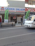 Yoresel Malatya Pazaryi (Istanbul, Zeytinburnu, Telsiz Neighborhood, 85th Avenue, 52) ، المكسرات والوجبات الخفيفة والفواكه المجففة