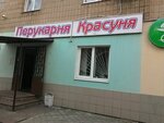 Krasunya (Московский проспект, 273А), hairdresser