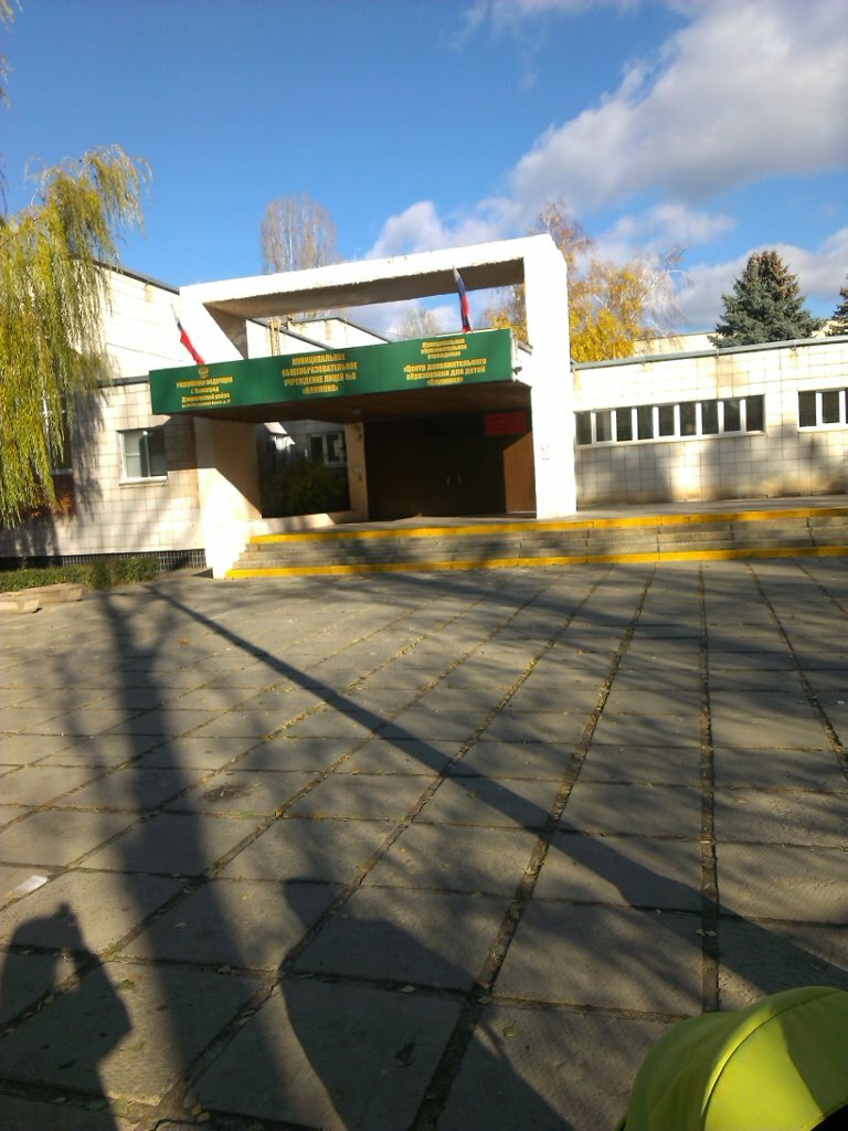 Лицей 8 олимпия волгоград фото