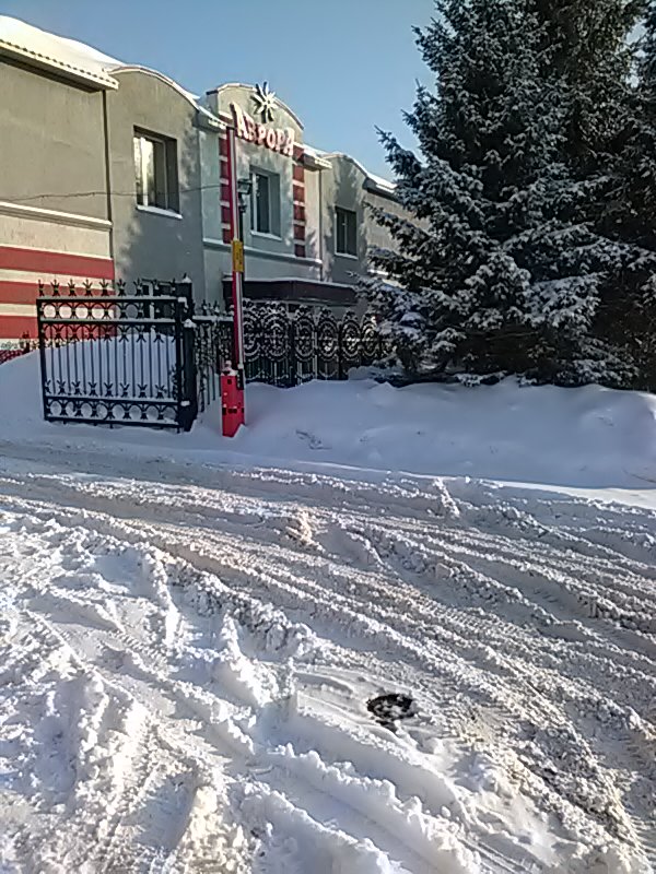 Фото Аврора