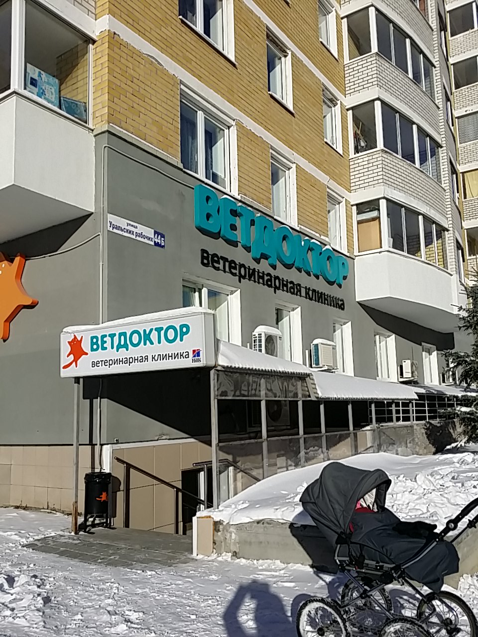 Ветдоктор ул уральских рабочих 44б фото