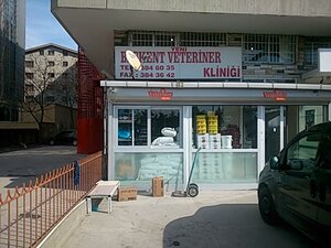 cuneyt arkın fılımlerı