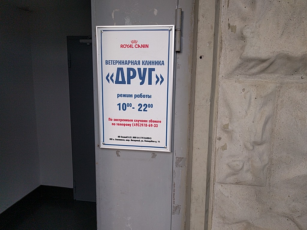 Друг - фото 4