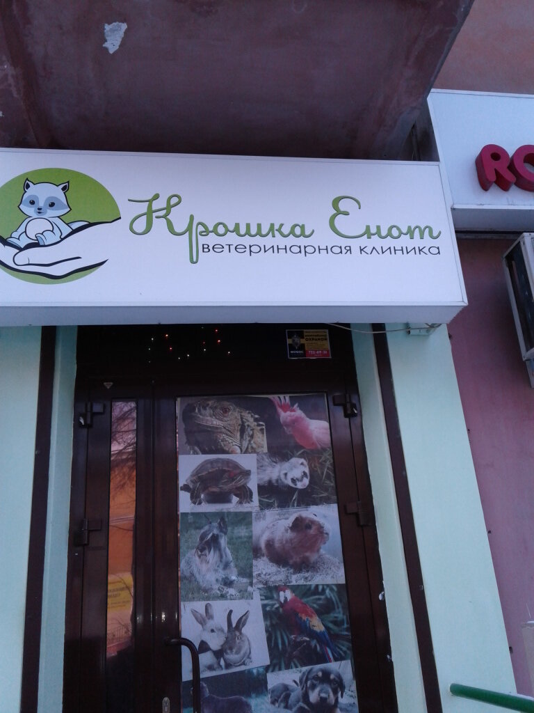 Веста ветеринарная клиника челябинск