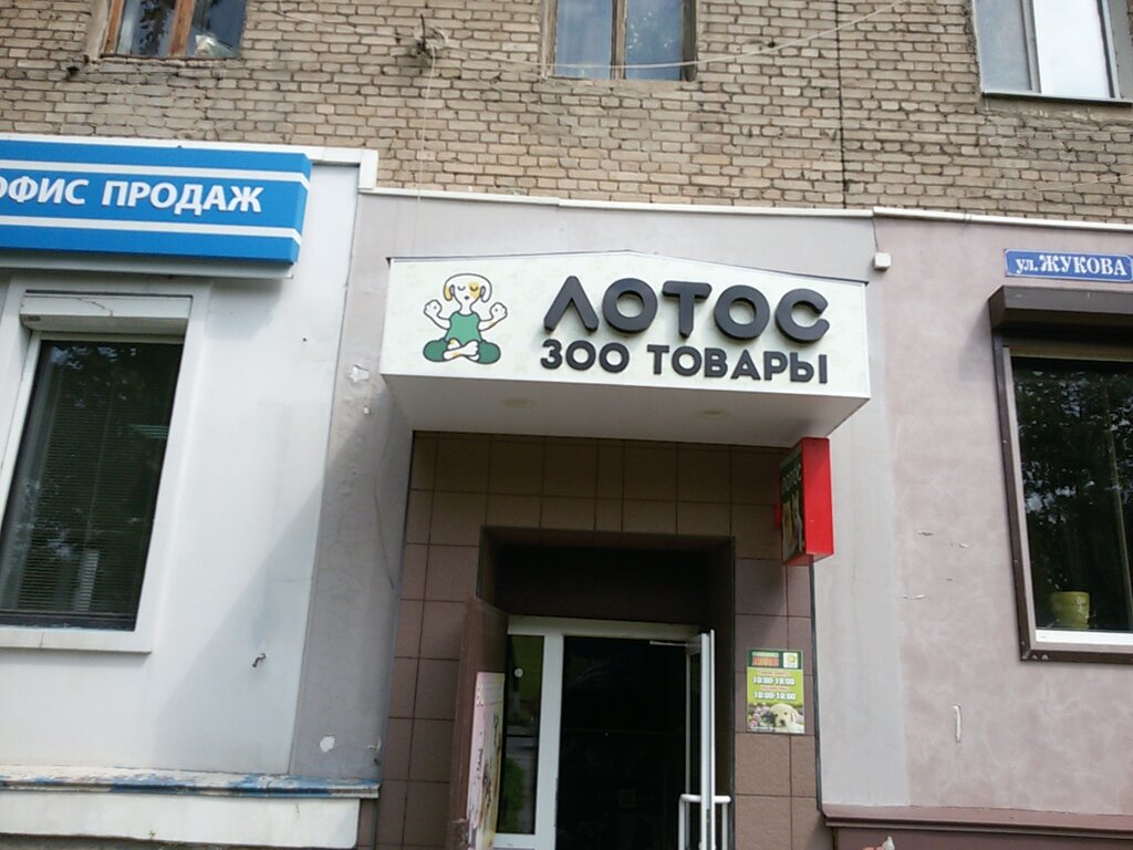 Магазин Лотос Смоленск Официальный Сайт