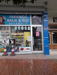Yakamoz Aquarium (Istanbul, Bagcilar, Merkez Neighborhood, 680th Street, 22), pet shop
