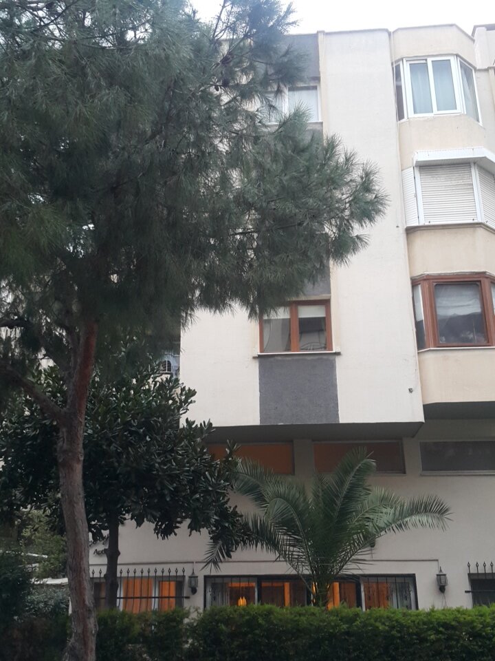 Educational center Sensory Therapy Special Education and Rehabilitation Center, Izmir, photo