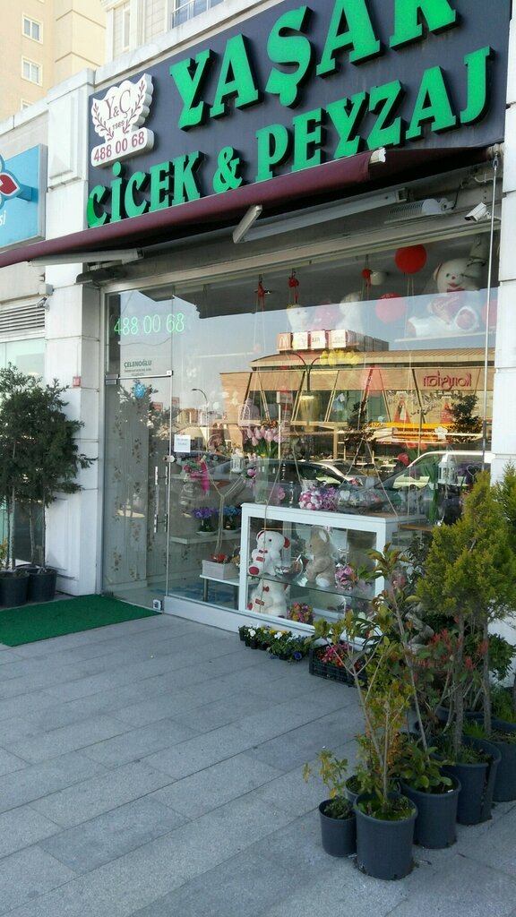 Flower shop Sonmez Cicekcilik, Istanbul, photo