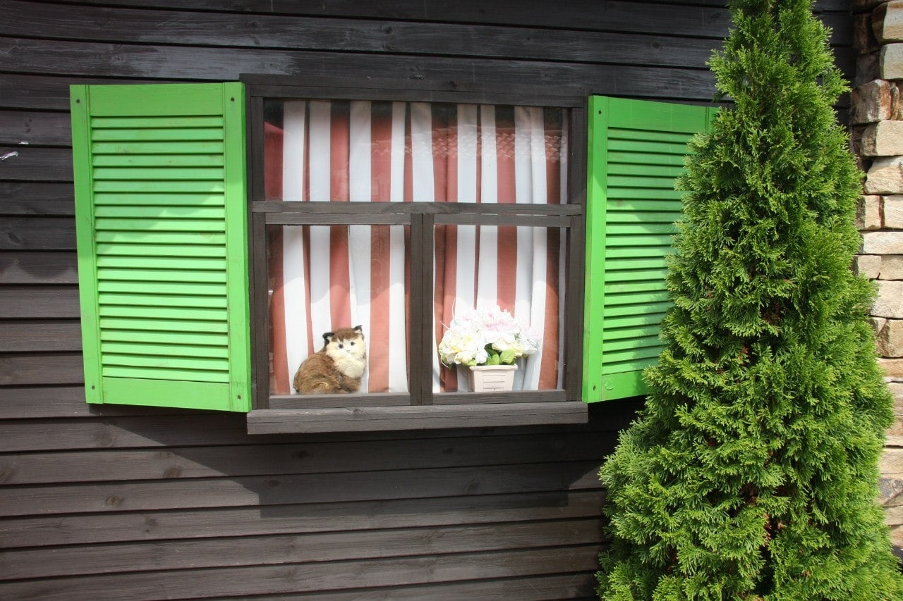 Фото Тортуга