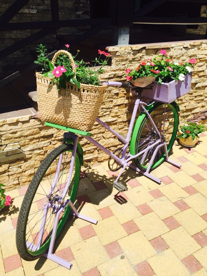 Фото Тортуга