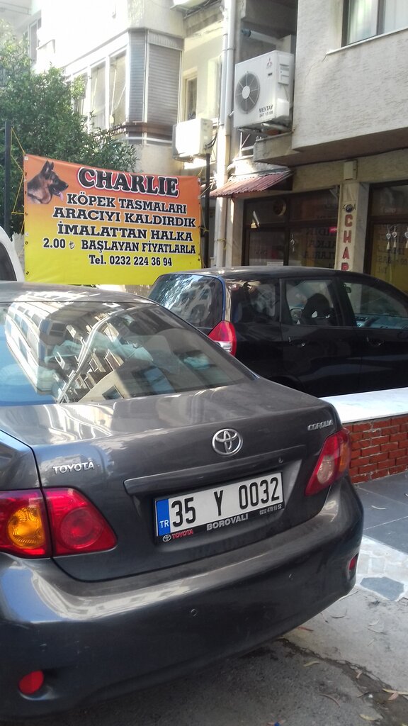 Pet products wholesale Charlie Köpek Tasmaları, Izmir, photo