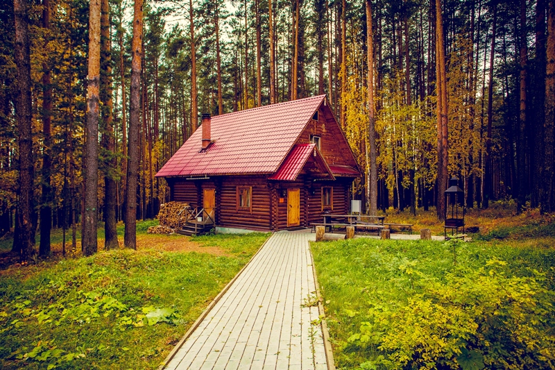 Фото Иволга