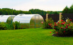 Alternativa-440 (ulitsa Vladimira Vysotskogo, 42к2), greenhouse equipment