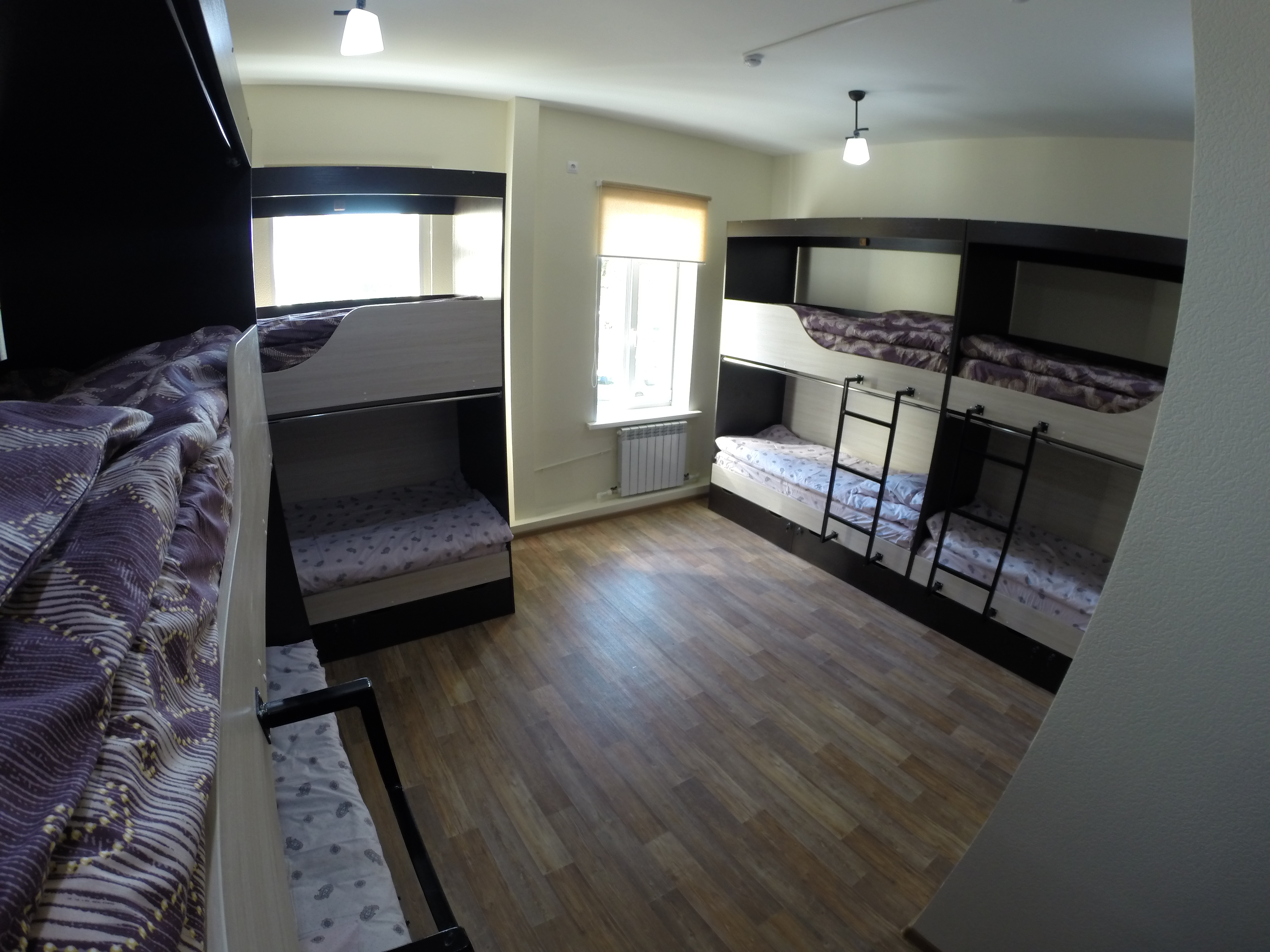 Фото Дружба