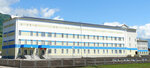 Медицинское учреждение (Republic of Altai, Ust-Koksinskiy rayon, selo Ust-Koksa, Vostochnaya ulitsa), hospital