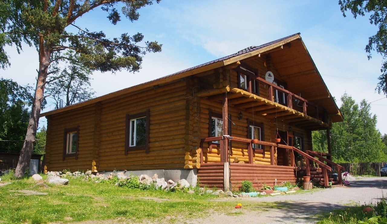 Фото Беличье