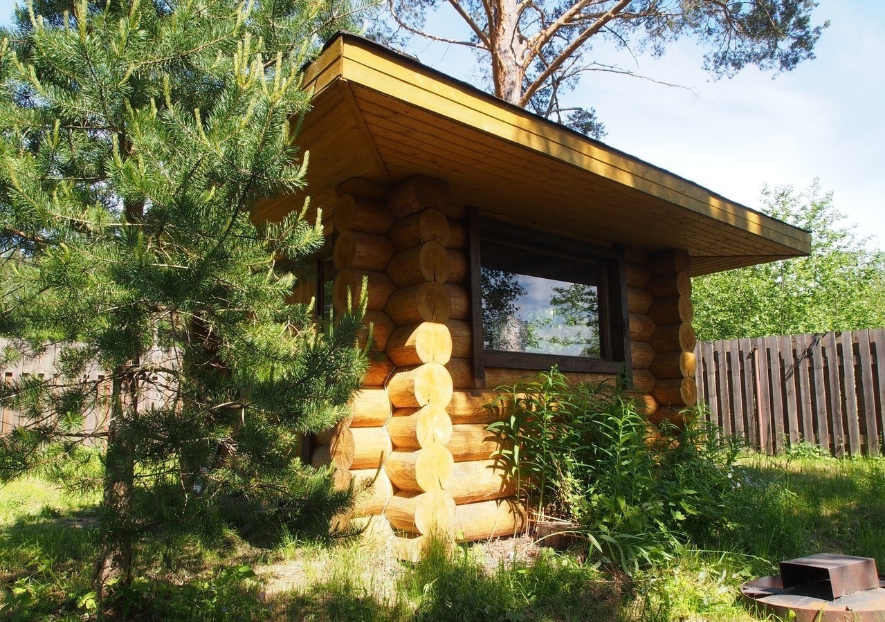 Фото Беличье