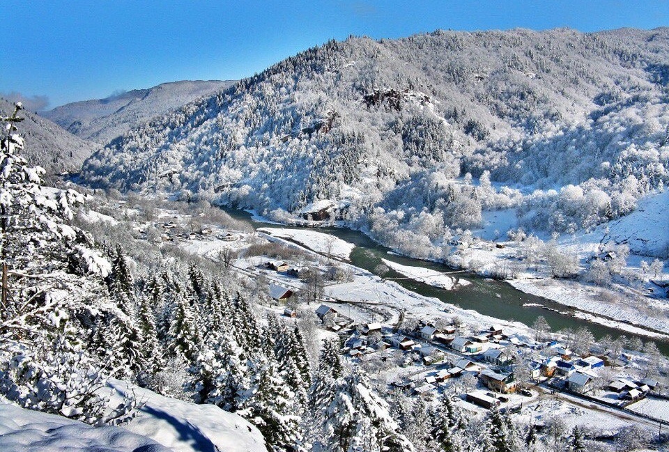 Фото Комбат