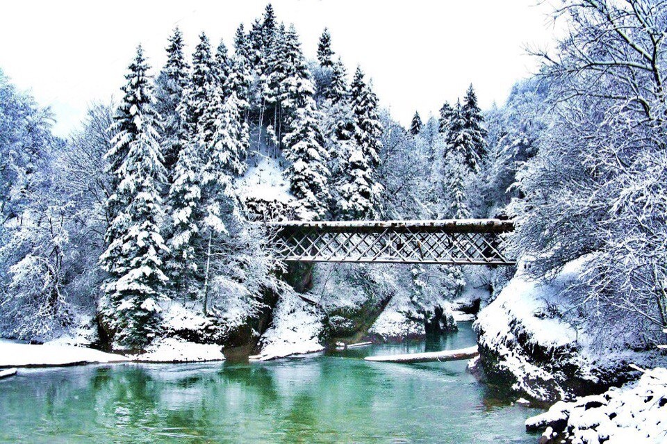 Фото Комбат