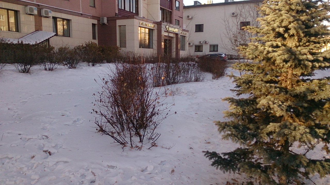 Фото Комильфо