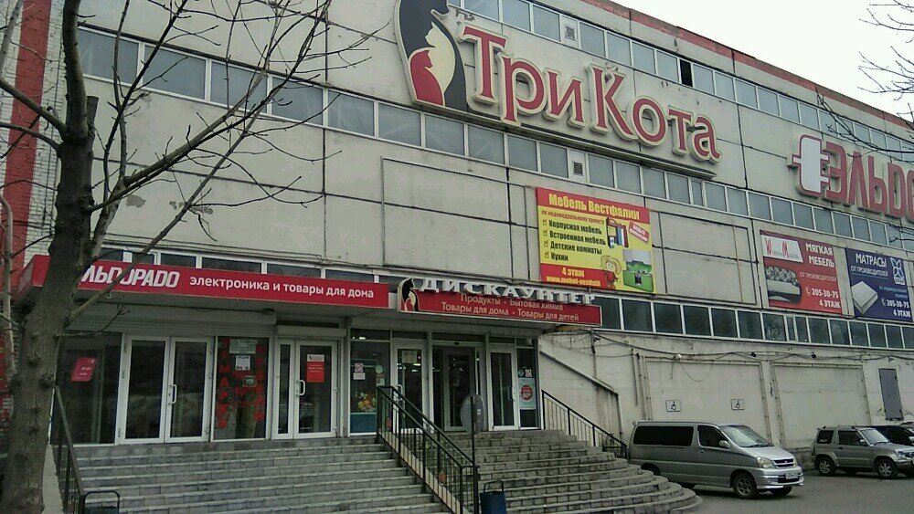 Гипермаркет Три кота, Владивосток, фото