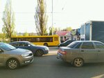 Zoomarket Bim (Volodymyra Sosiury Street, 3Б), pet shop