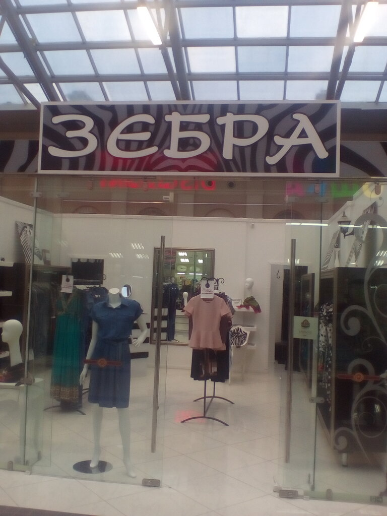 Магазин Зебра В Липецке