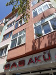 Bas Akumulator (İstanbul, Kartal, Çavuşoğlu Mah., Yeniyurt Sok., 12), electric motors