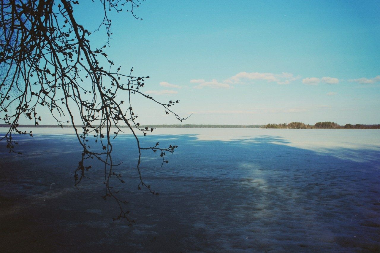 Фото Урозеро