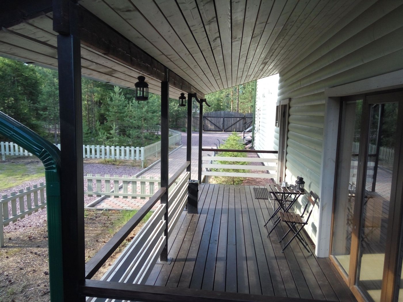 Фото Хвойный