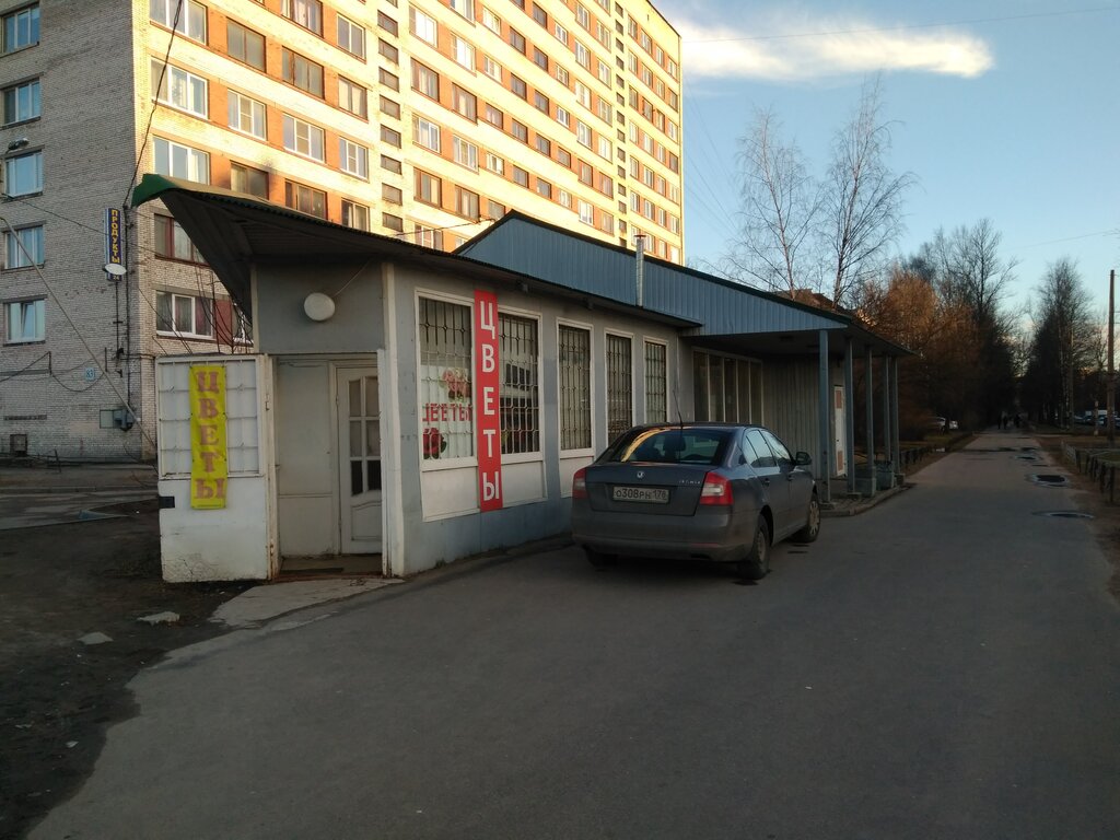 Северный Проспект Магазины