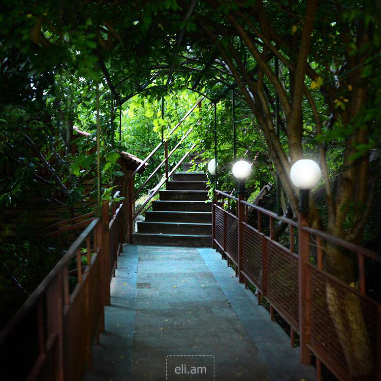 Фото Olympia Garden