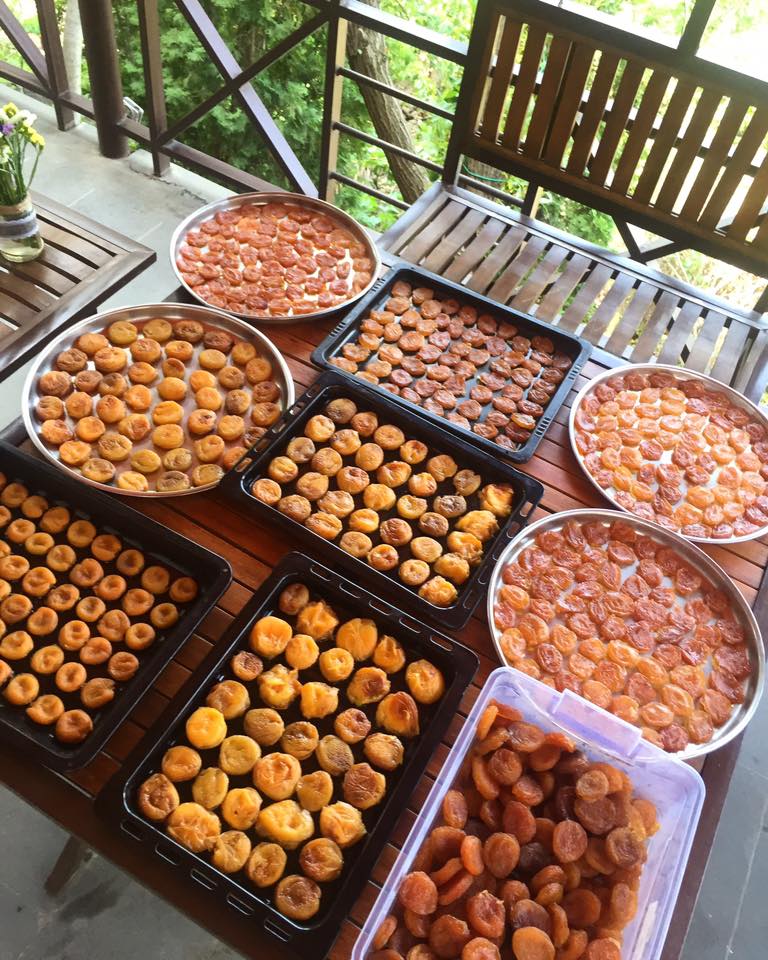 Фото Olympia Garden