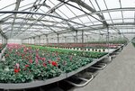 Sadovy tsentr Gardi-Kiyev (Kyiv, Dniprovske Highway, 16), garden center