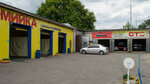 STO Alf-7 (Verbova Street, 7А), car service, auto repair