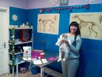 Tsentr sovremennoy veterinarnoy meditsiny (Heorhiia Honhadze Avenue, 3Б), veterinary clinic