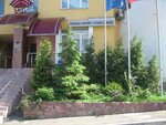 Ukrainskaya okhranno-strakhovaya kompaniya (Borschahivska Street, 145) ، شركة التأمين