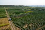 Agro-Flora (selyshche miskoho typu Mala Danylivka, Zelena vulytsia, 24) ، مركز الحديقة
