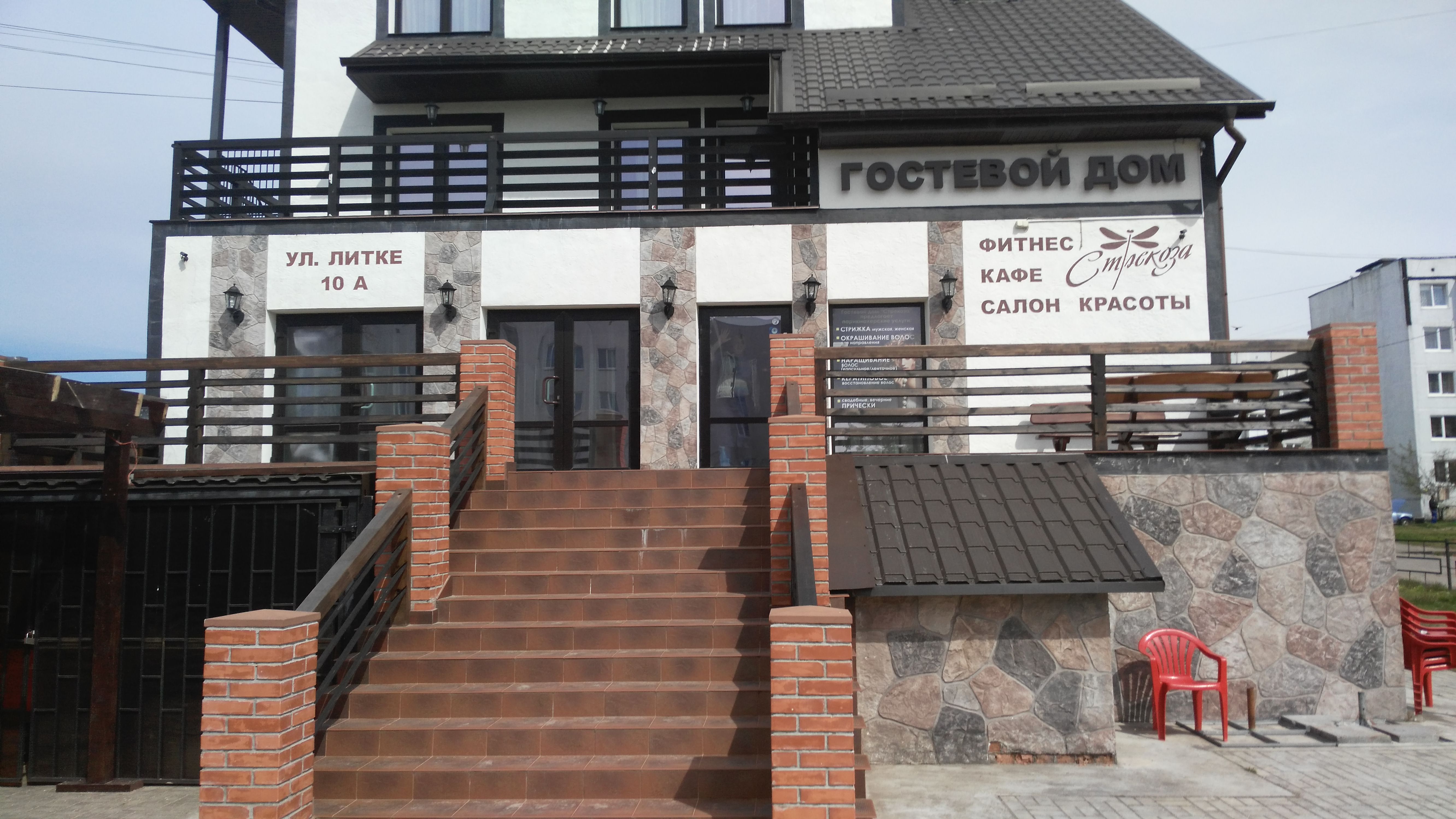 Фото Стрекоза