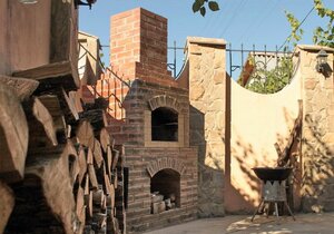 У Старого Абрикоса