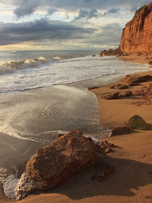 Фото У Старого Абрикоса