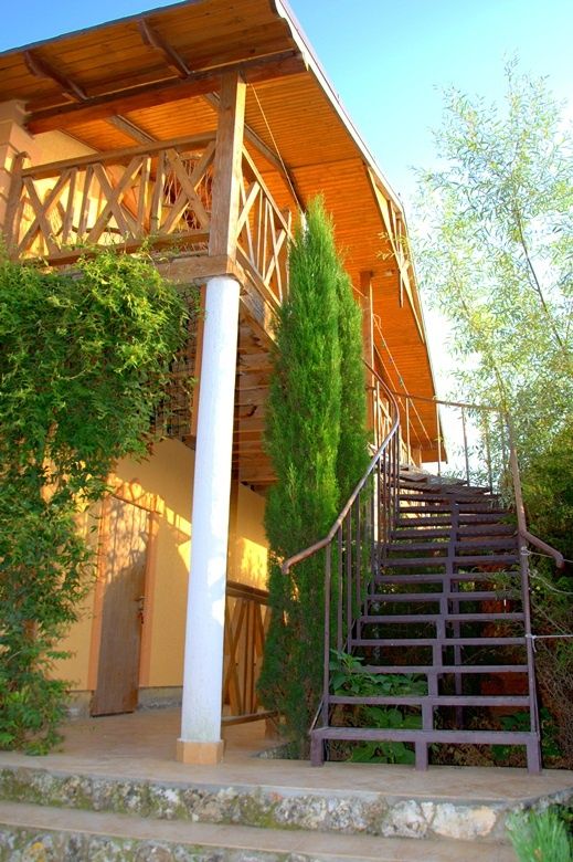 Фото Марлин