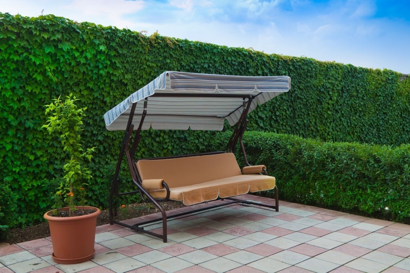 Фото Белый Лев