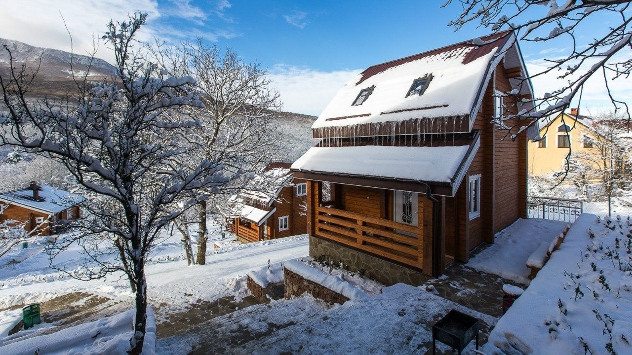 Фото Пальмира