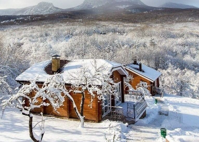 Фото Пальмира