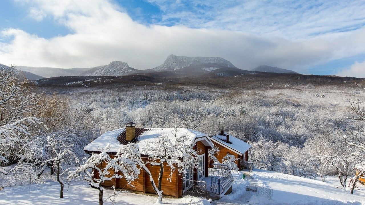 Фото Пальмира