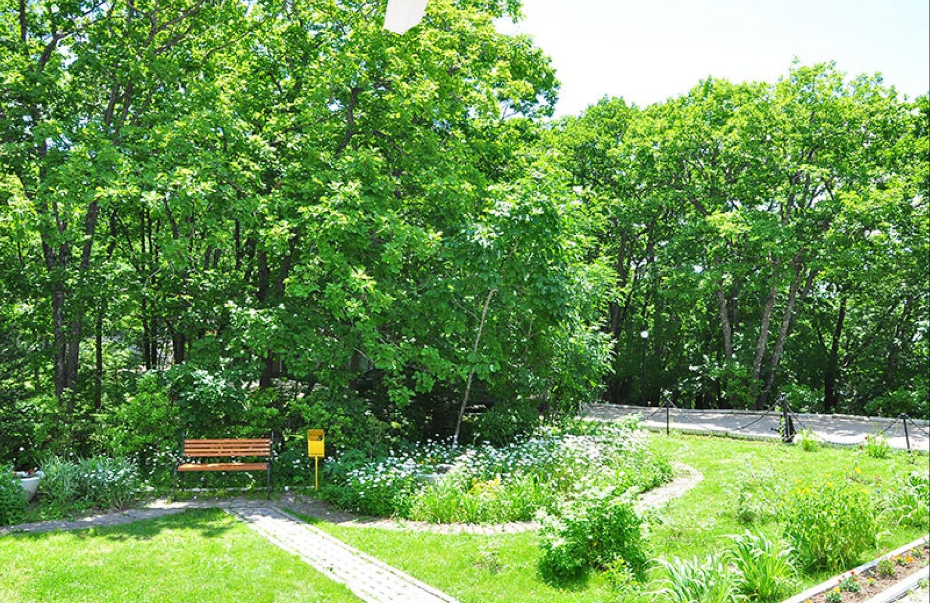 Фото Русский Ренессанс